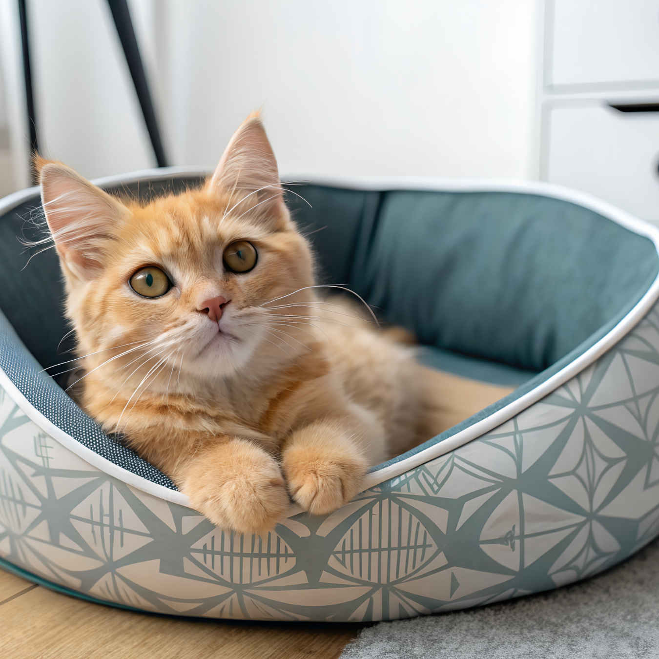 The Purfect Pet Food