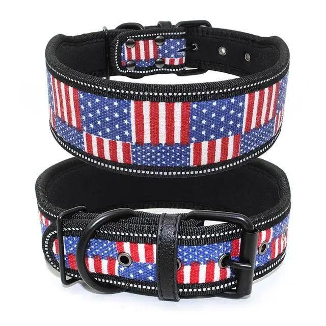 Reflective Adjustable Dog Collar with Buckle for Small Large Dogs