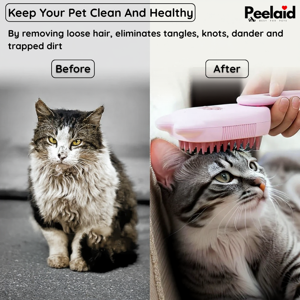Steam Pet Grooming Brush for Dogs Cats Hair Removal Tool