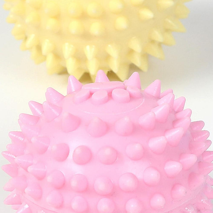 TPR pet molars interactive toy