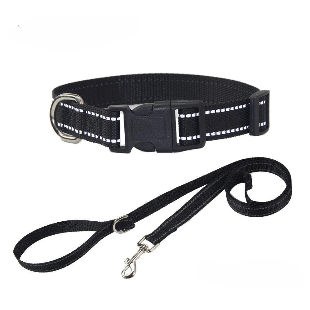 Nylon Dog Collar and Leash Set for Small Large Dogs