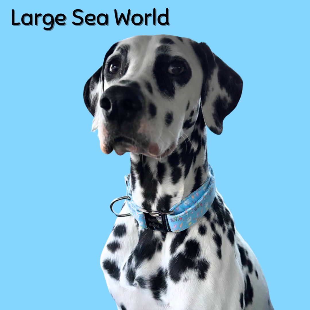 Boop Town Soft Cotton Dog Collar Adjustable Durable Gold Hardware