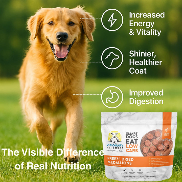Freeze Dried Chicken Dog Food High Protein Grain Free