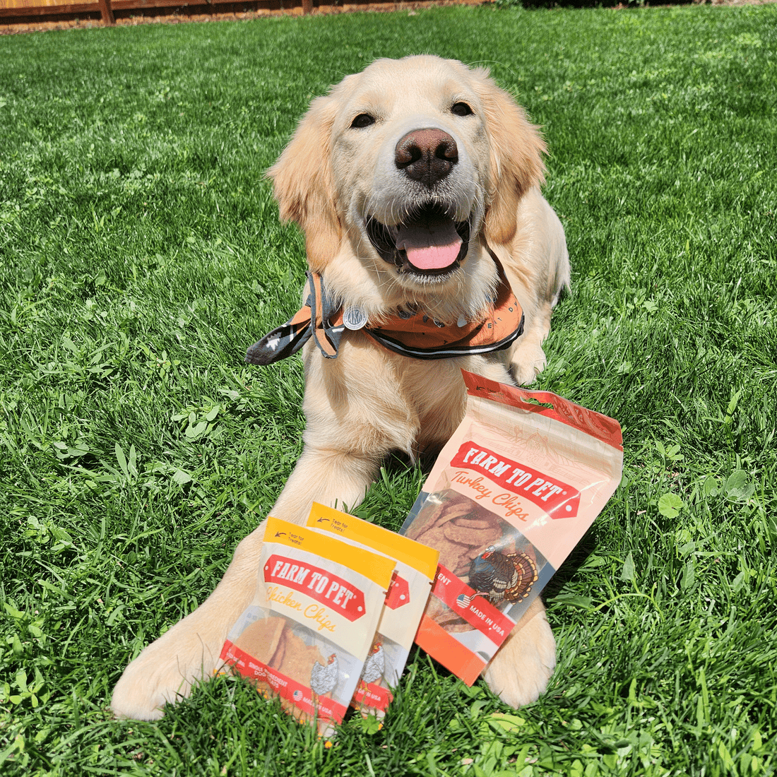 Puppy Packs 'n Snacks Dog Treat Starter Pack | Single-Ingredient