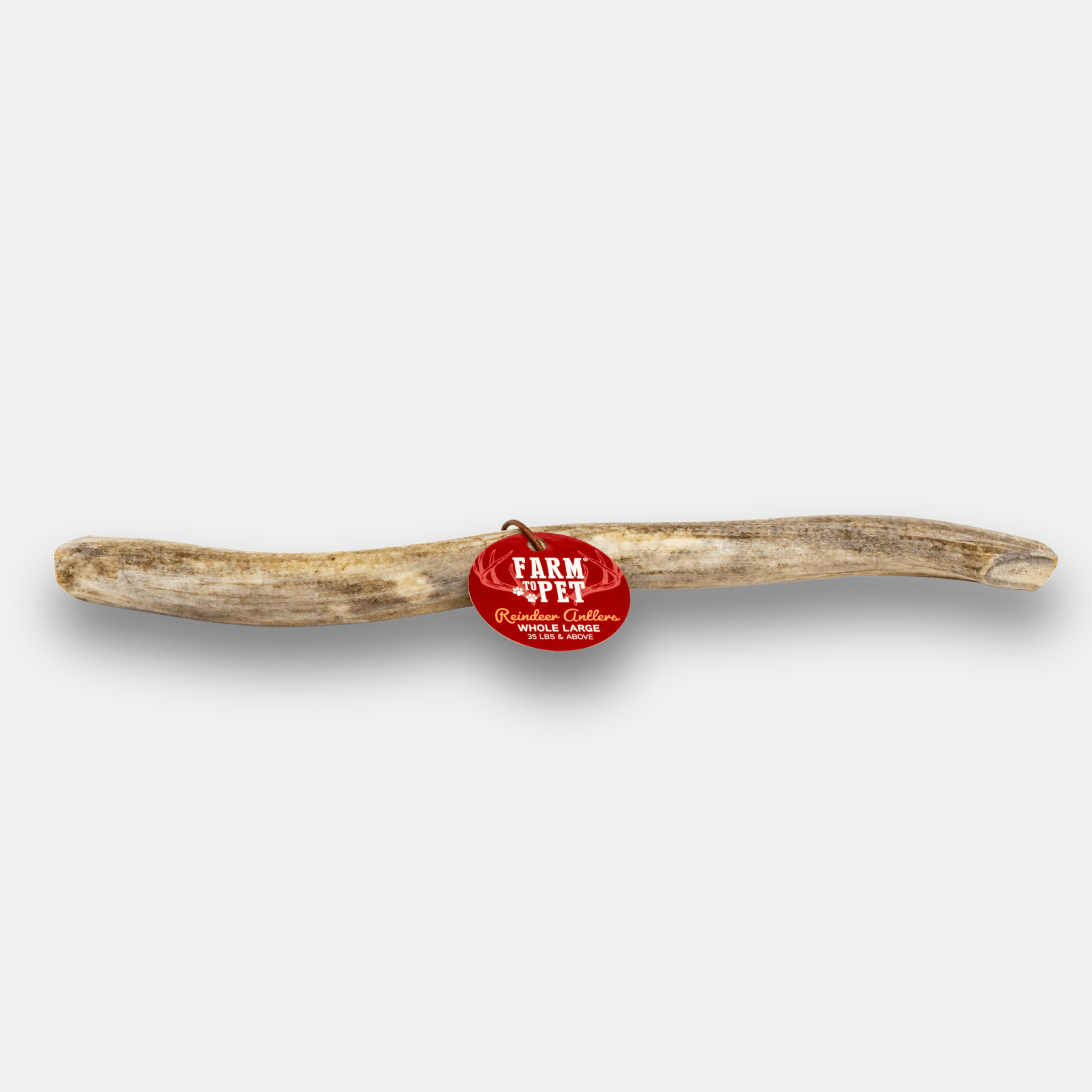 Reindeer Antler Dog Chews | Organic