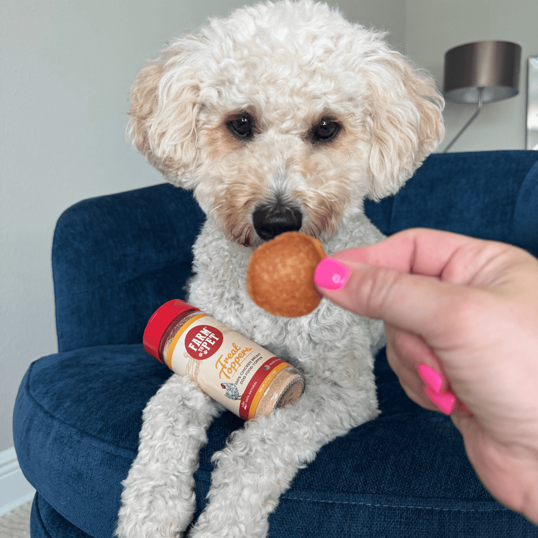 Treat Topper Chicken | Healthy Meal Supplement for Dogs
