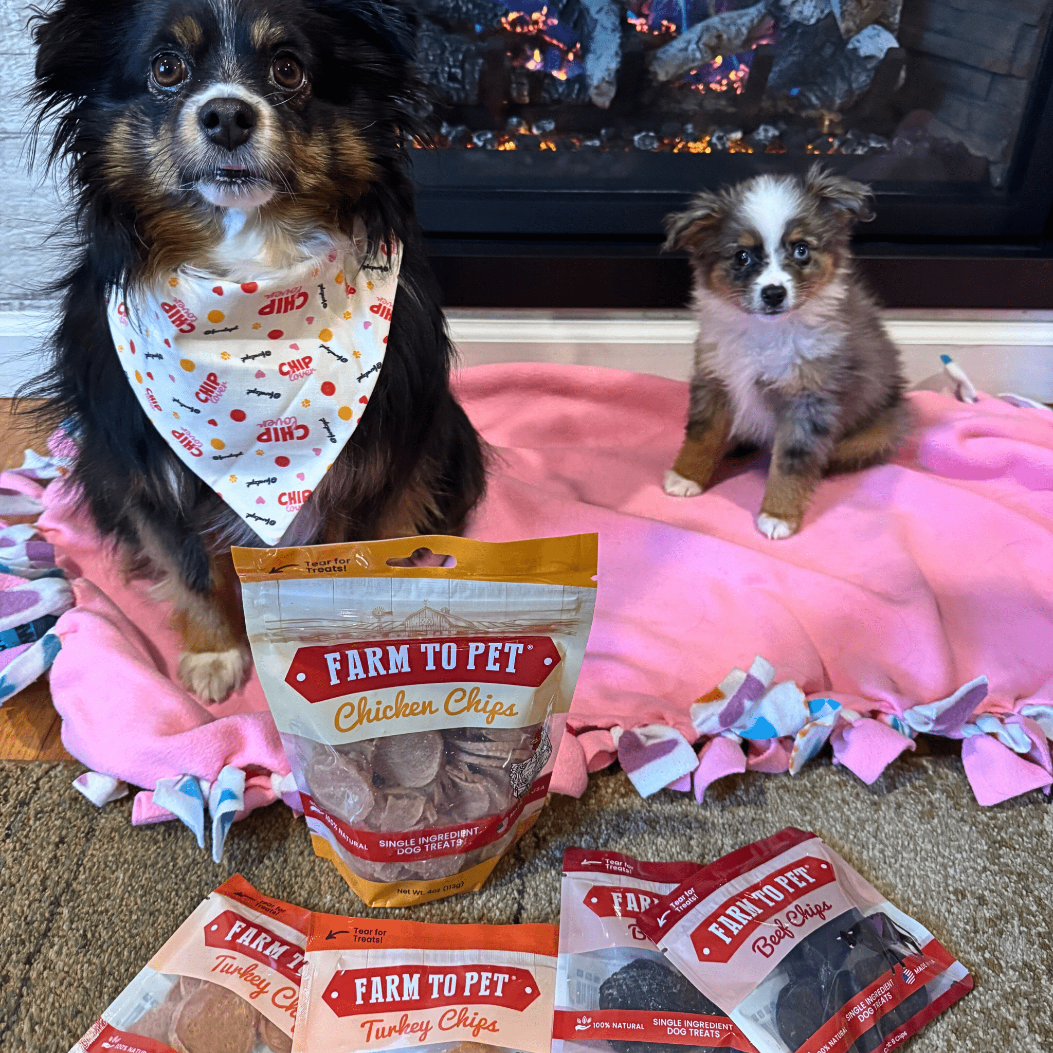 Puppy Packs 'n Snacks Dog Treat Starter Pack | Single-Ingredient