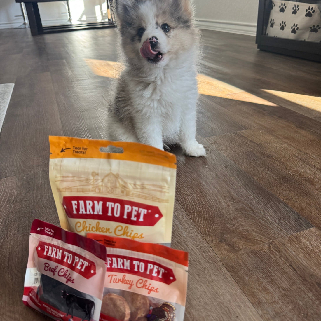 Puppy Packs 'n Snacks Dog Treat Starter Pack | Single-Ingredient