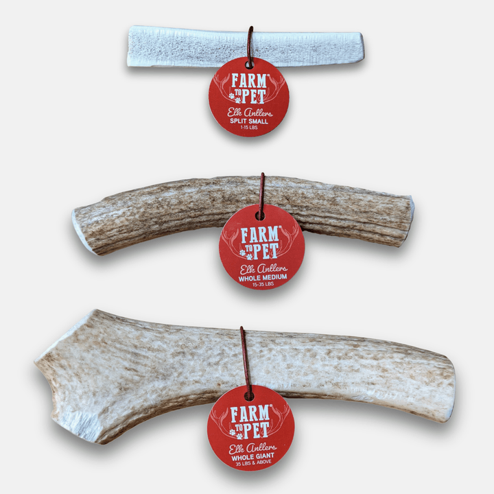 Elk Antler Dog Chews | All-Natural Whole and Split Chews for Dogs