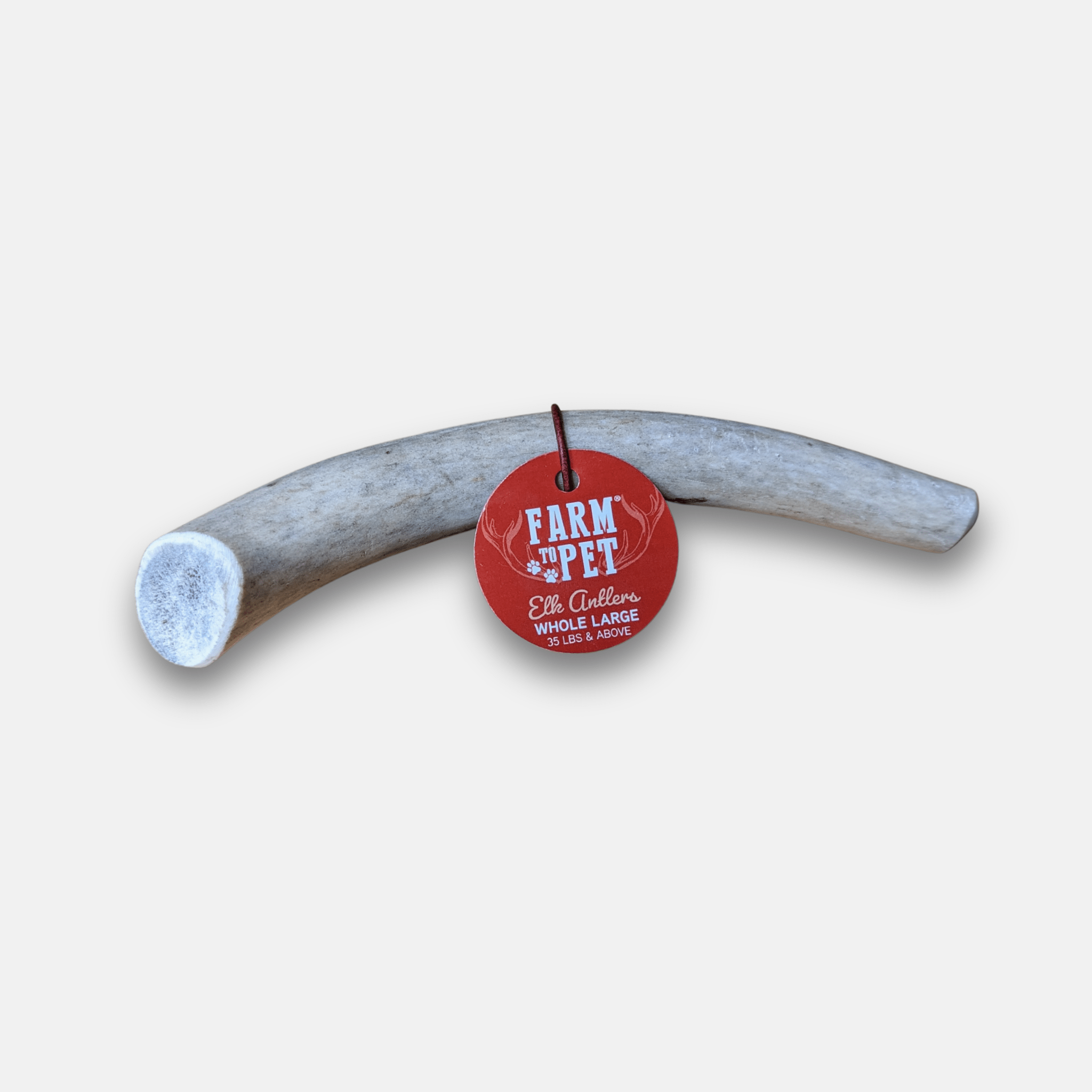 Elk Antler Dog Chews | All-Natural Whole and Split Chews for Dogs
