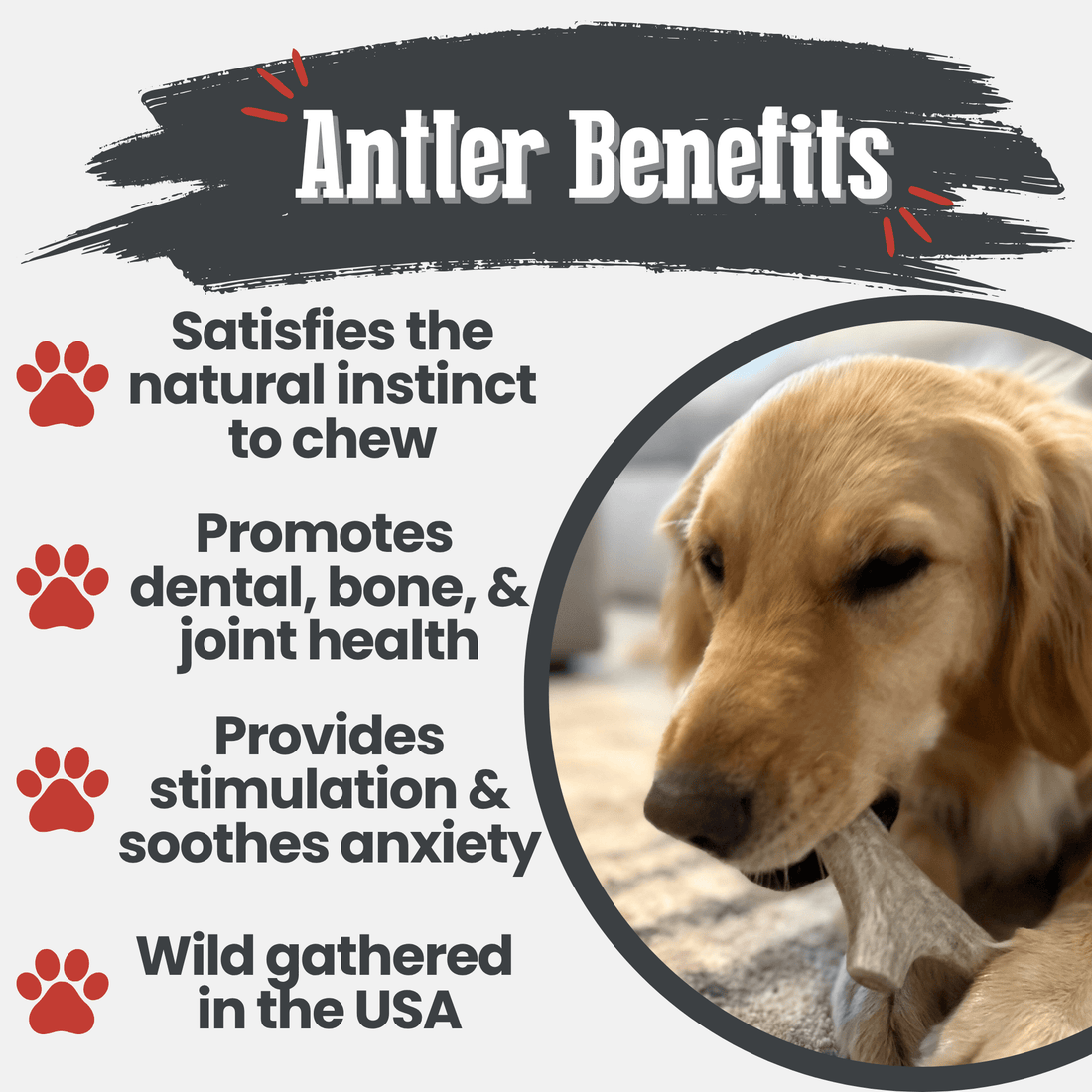 Deer Antler Dog Chews | Organic