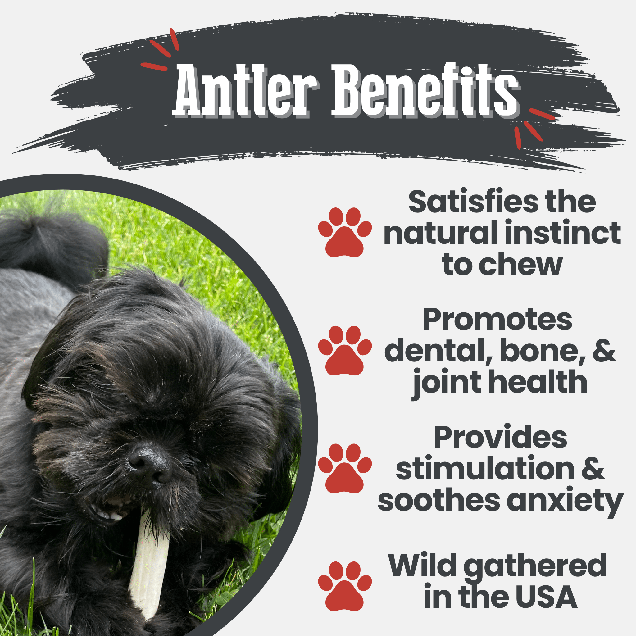 Reindeer Antler Dog Chews | Organic