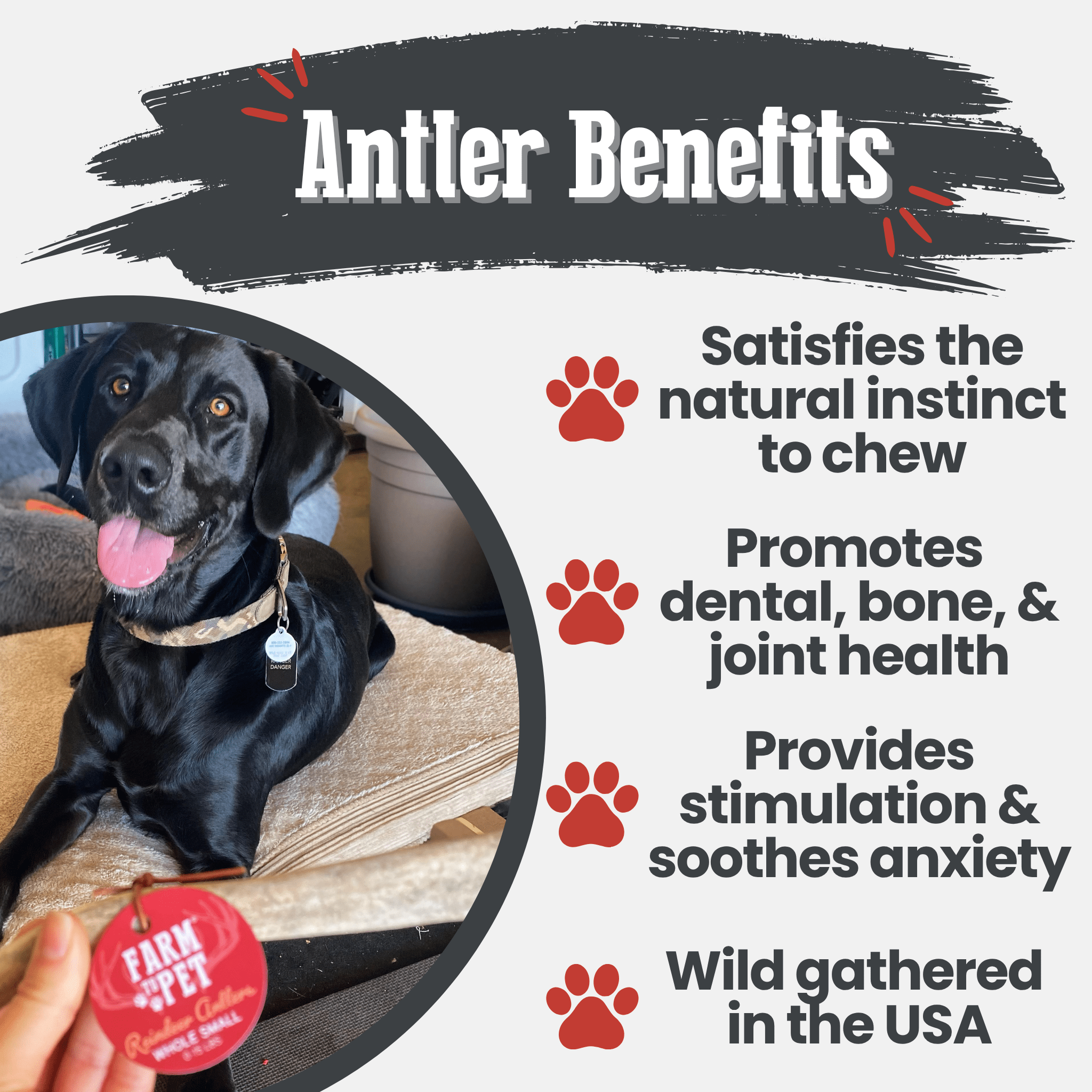 Reindeer Antler Dog Chews | Organic
