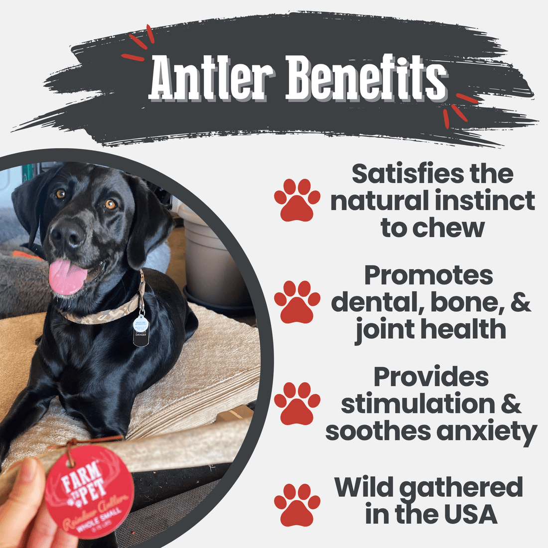 Reindeer Antler Dog Chews | Organic