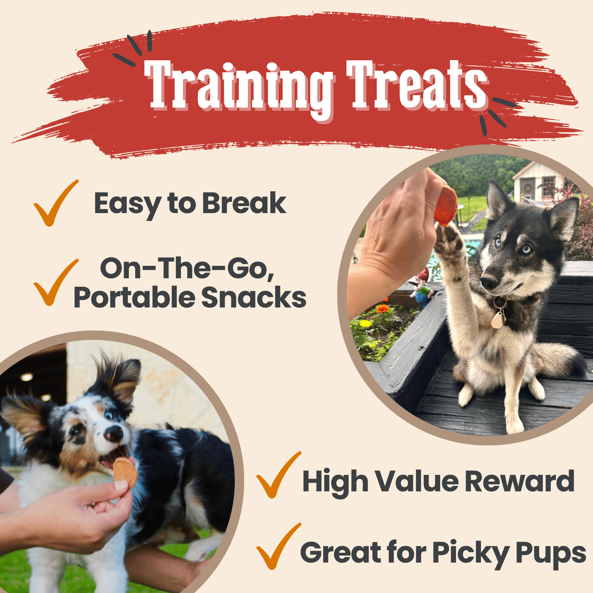 Turkey & Chicken Chip Dog Treat Duo | Single-Ingredient Poultry