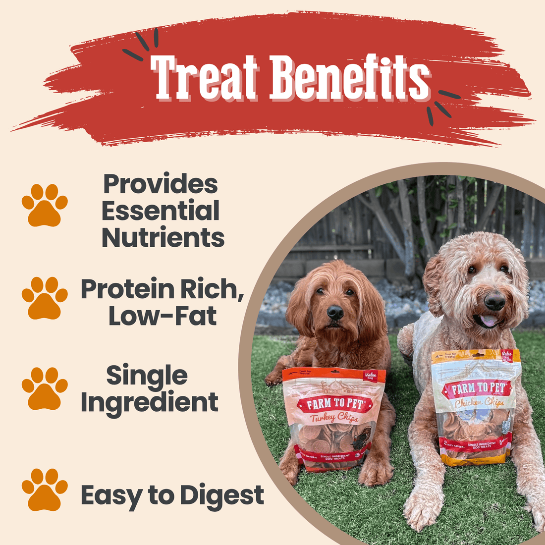 Turkey & Chicken Chip Dog Treat Duo | Single-Ingredient Poultry