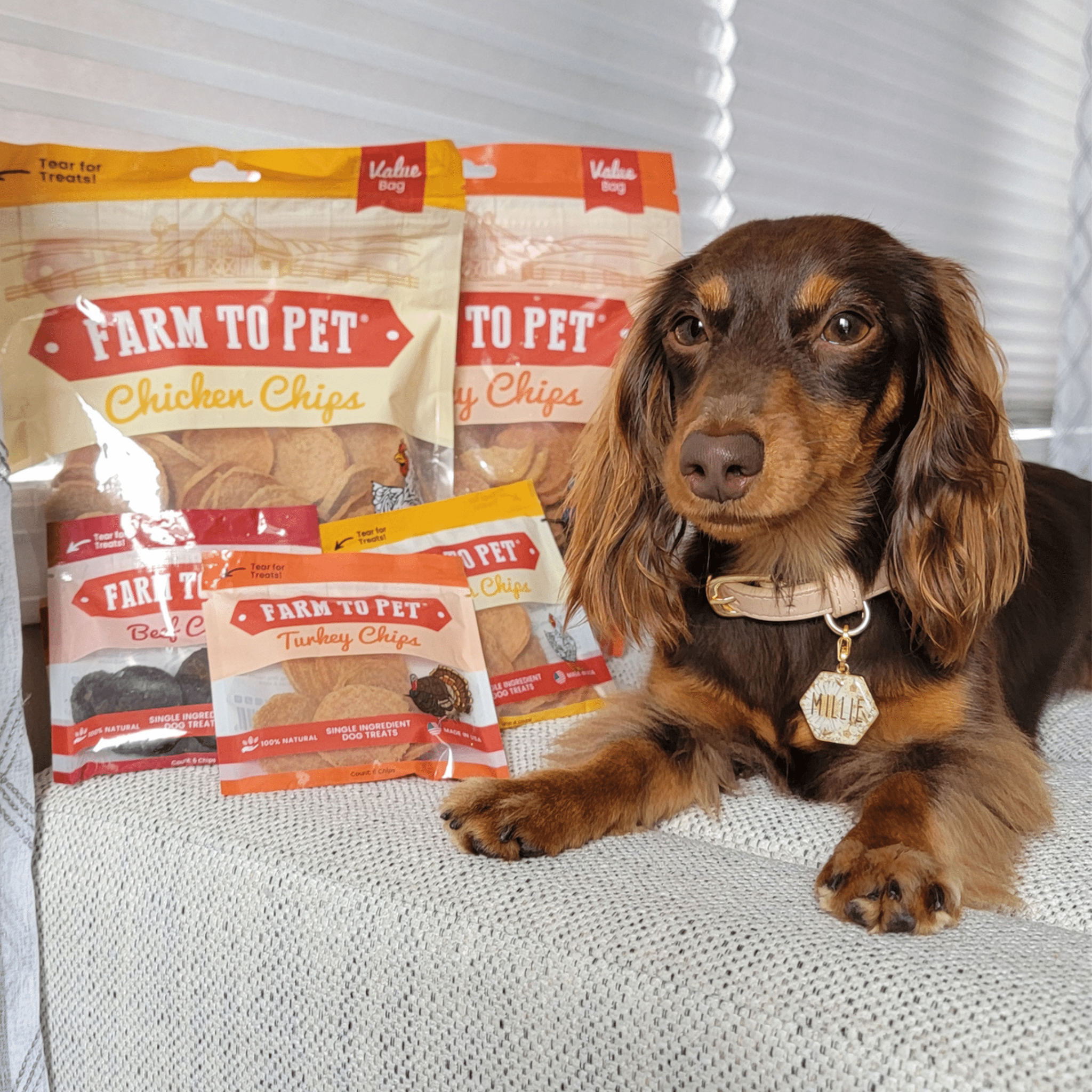 Turkey & Chicken Chip Dog Treat Duo | Single-Ingredient Poultry