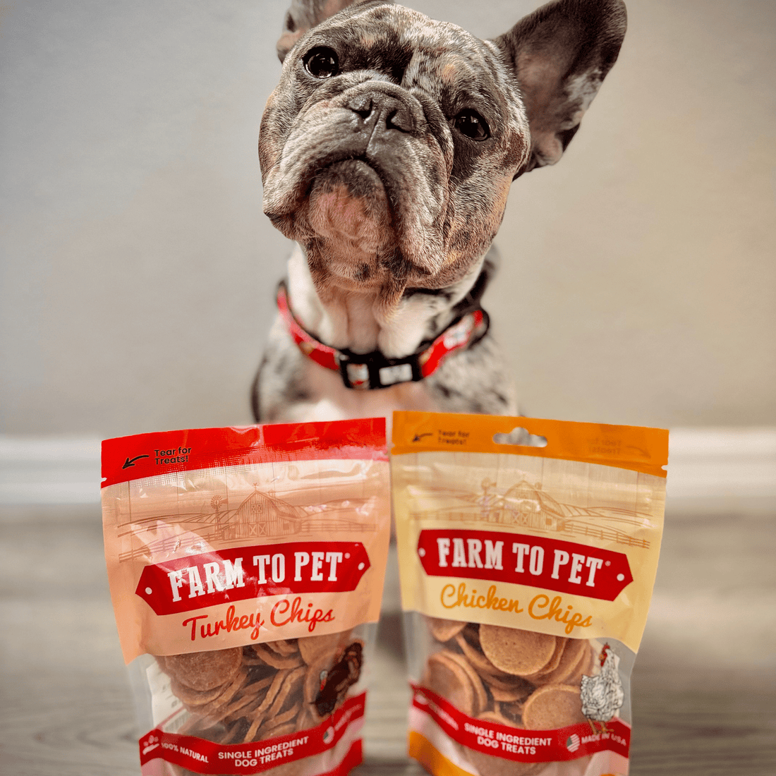 Turkey & Chicken Chip Dog Treat Duo | Single-Ingredient Poultry