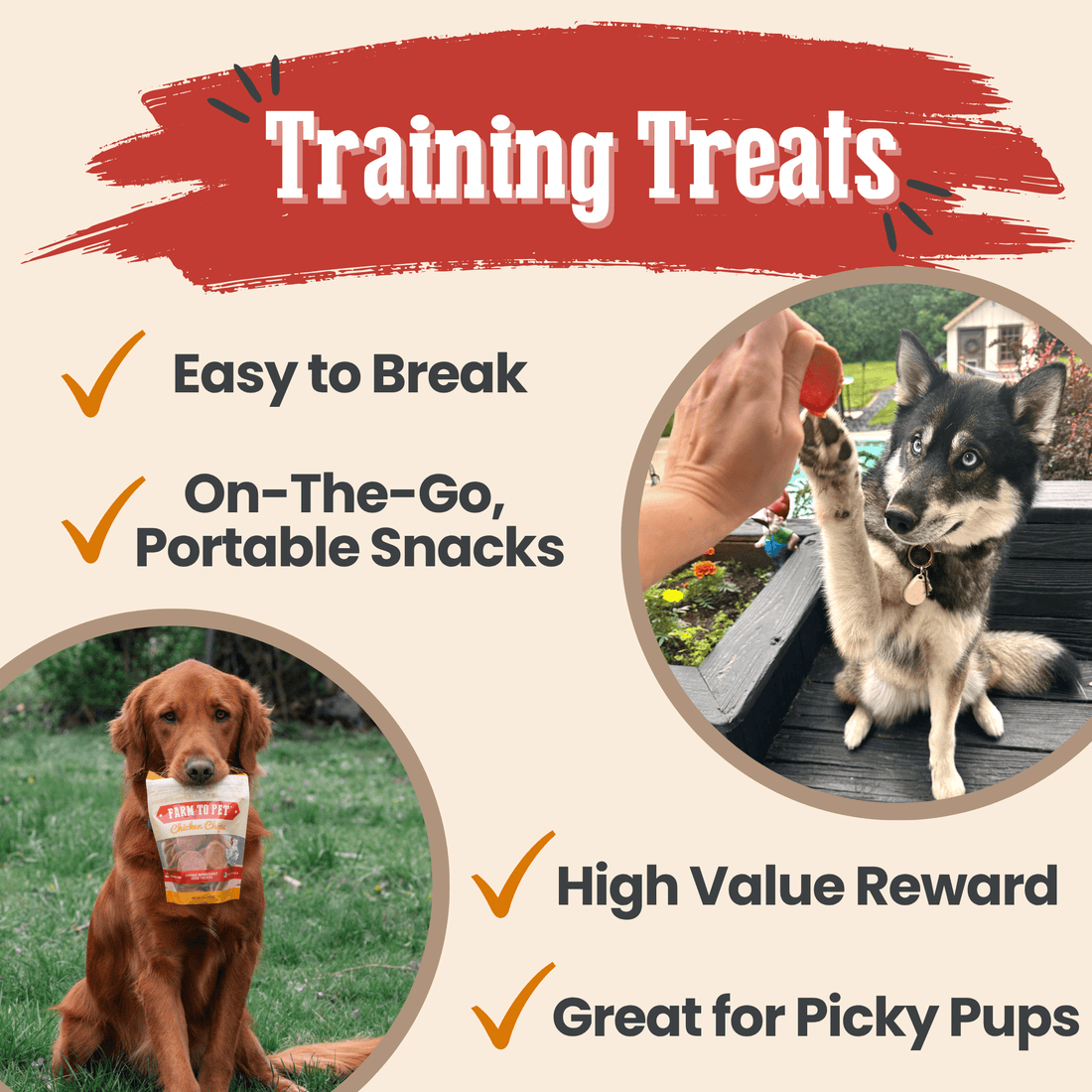 Turkey & Chicken Chip Dog Treat Duo | Single-Ingredient Poultry