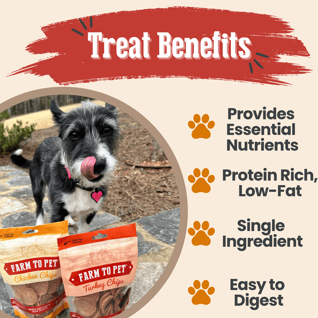 Turkey & Chicken Chip Dog Treat Duo | Single-Ingredient Poultry