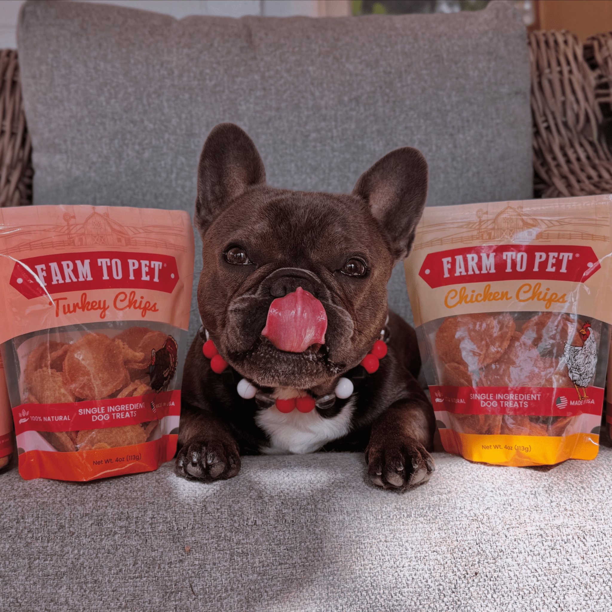 Turkey & Chicken Chip Dog Treat Duo | Single-Ingredient Poultry
