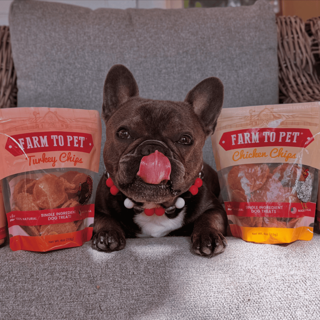 Turkey & Chicken Chip Dog Treat Duo | Single-Ingredient Poultry