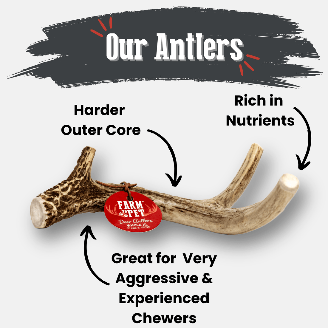 Deer Antler Dog Chews | Organic