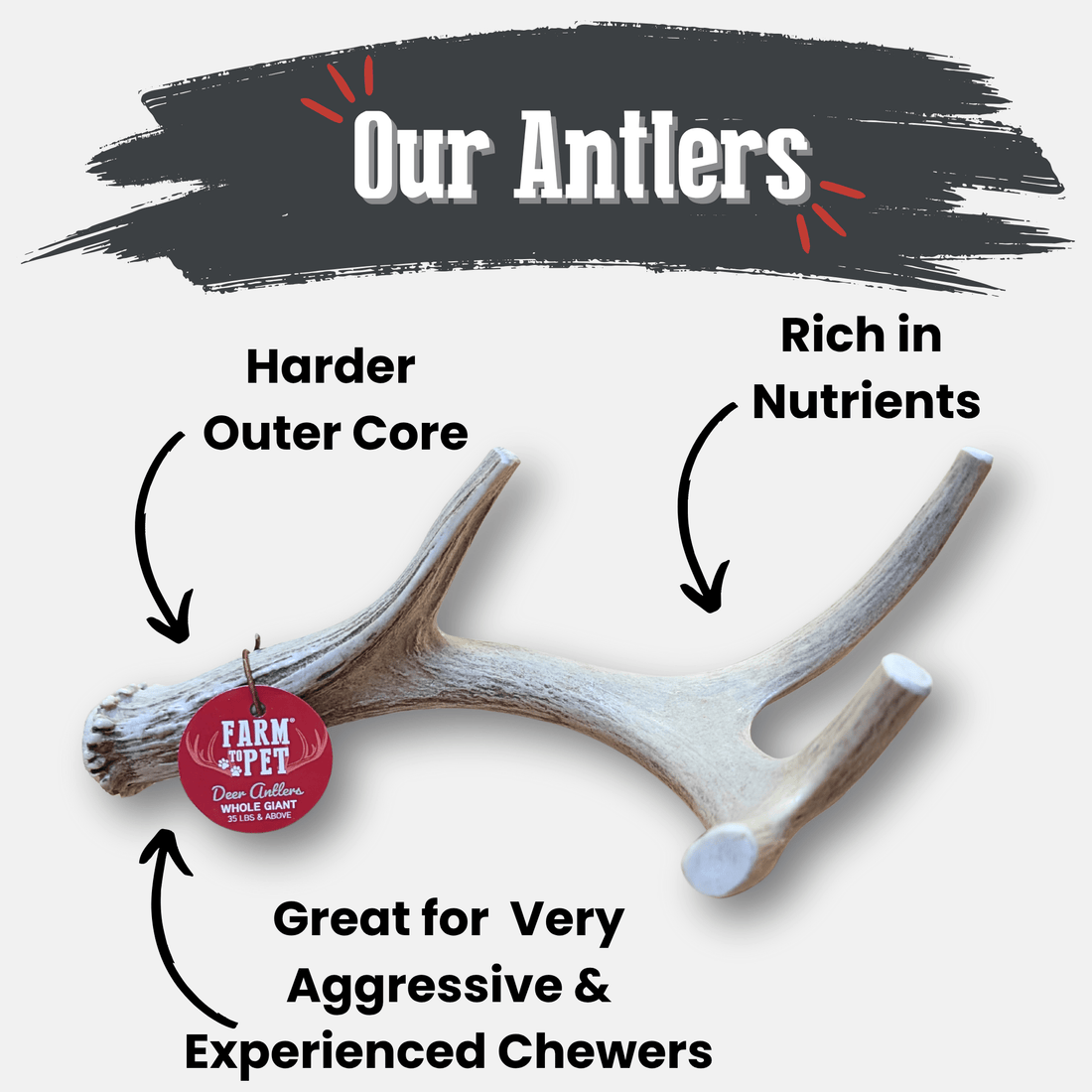 Deer Antler Dog Chews | Organic