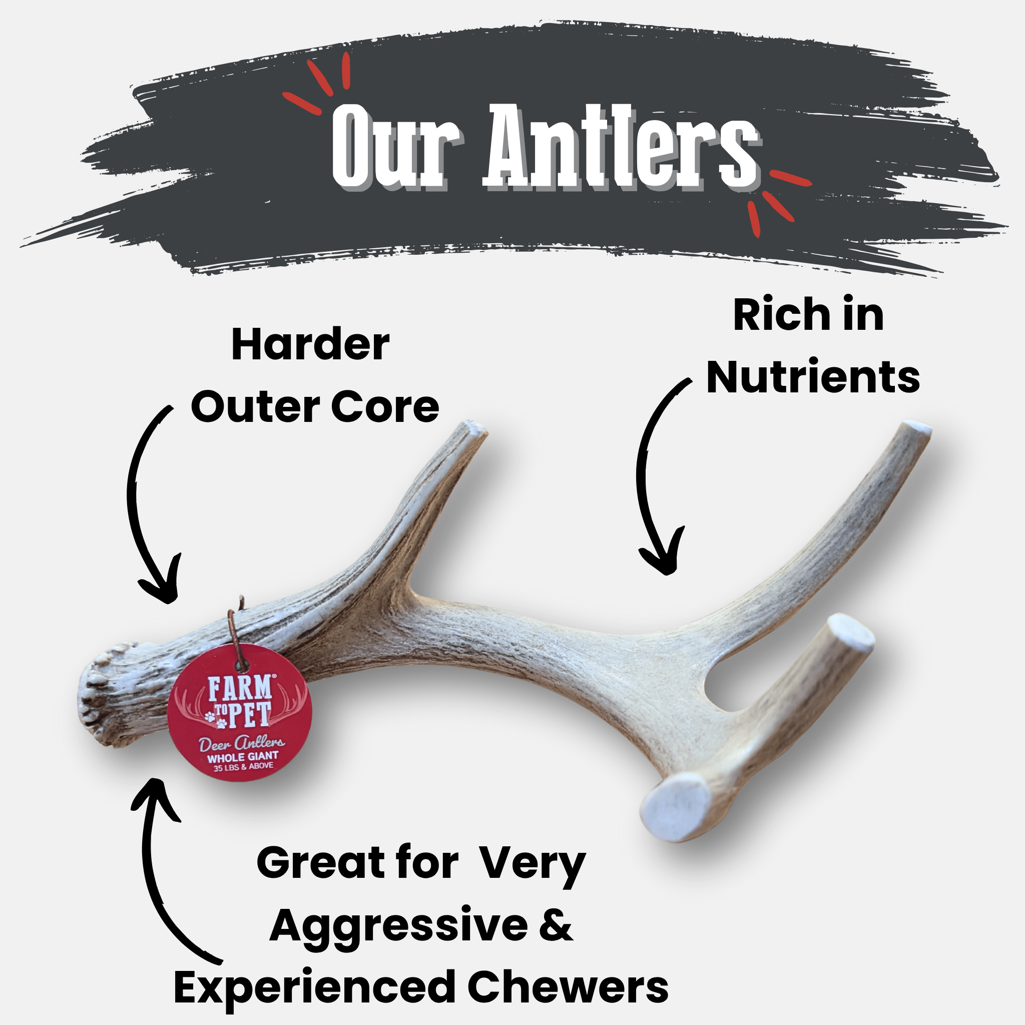Deer Antler Dog Chews | Organic