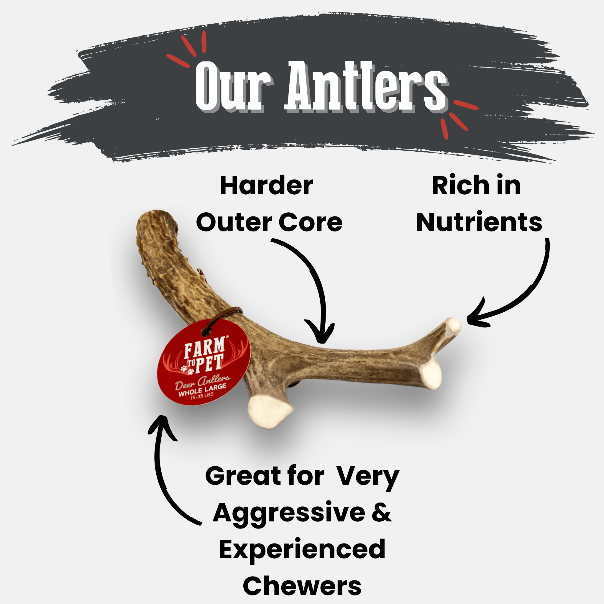 Deer Antler Dog Chews | Organic