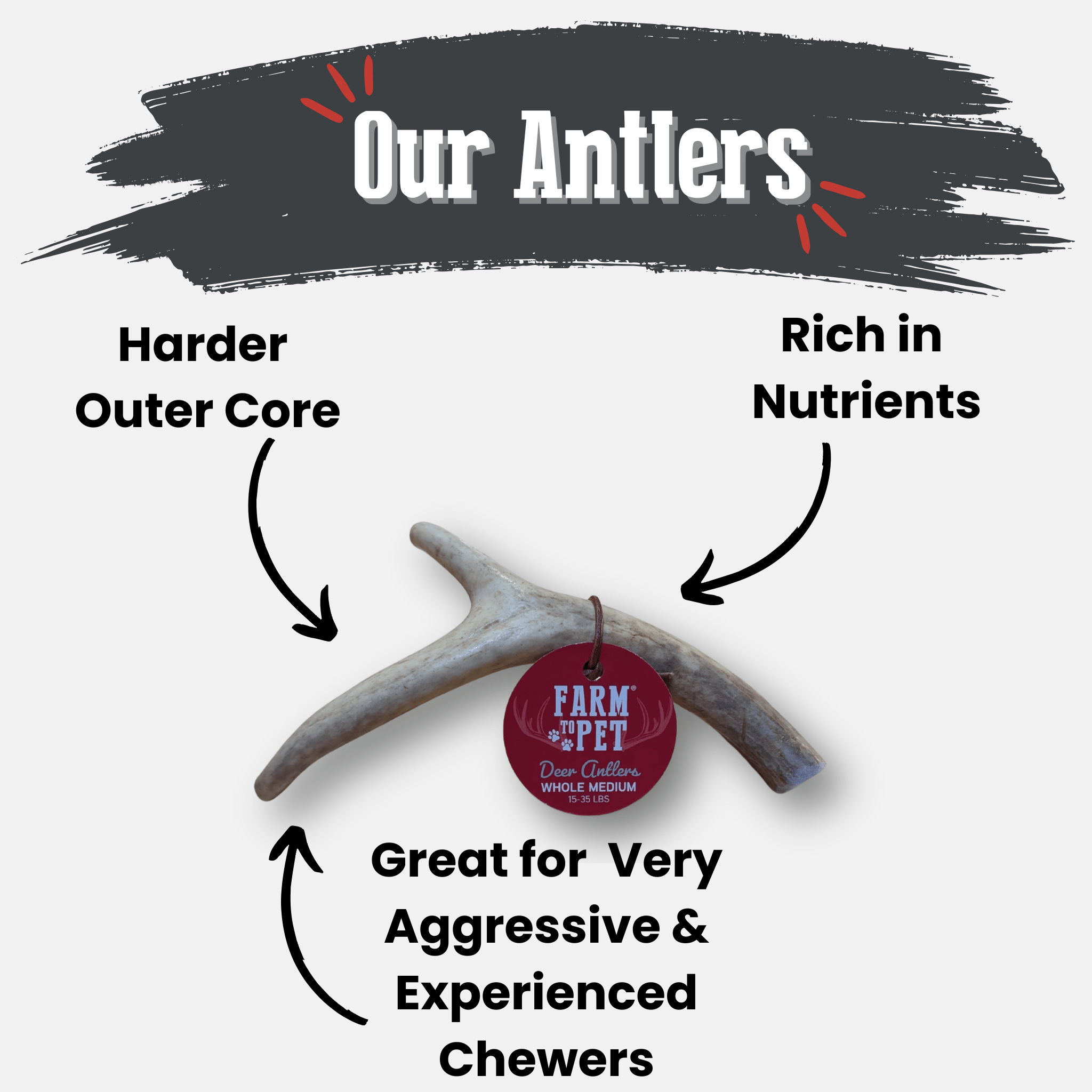 Deer Antler Dog Chews | Organic