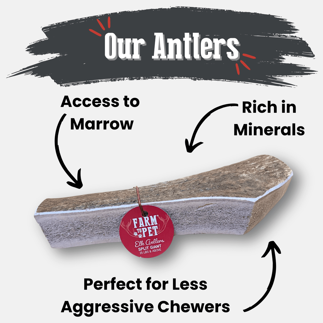 Elk Antler Dog Chews | All-Natural Whole and Split Chews for Dogs