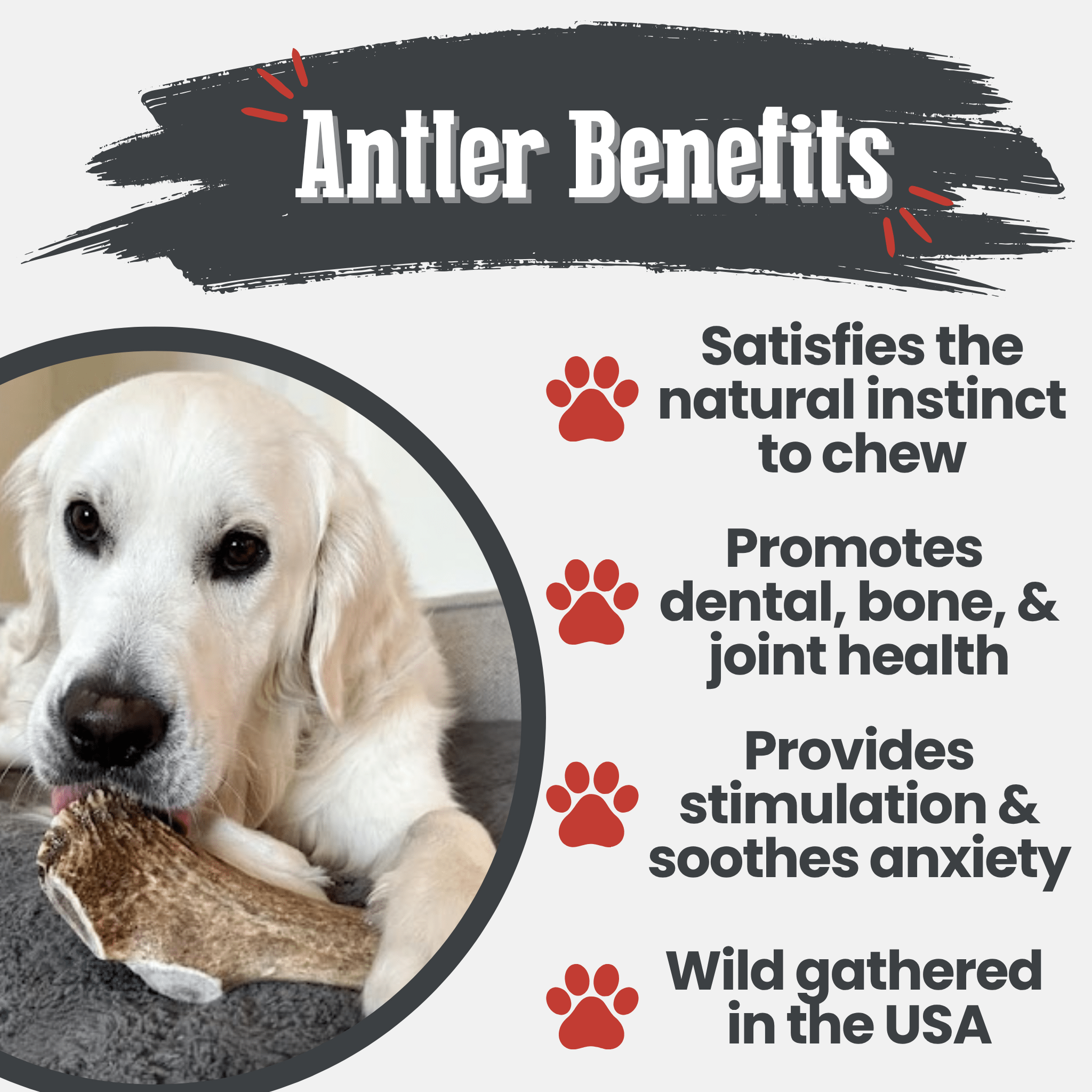 Elk Antler Dog Chews | All-Natural Whole and Split Chews for Dogs