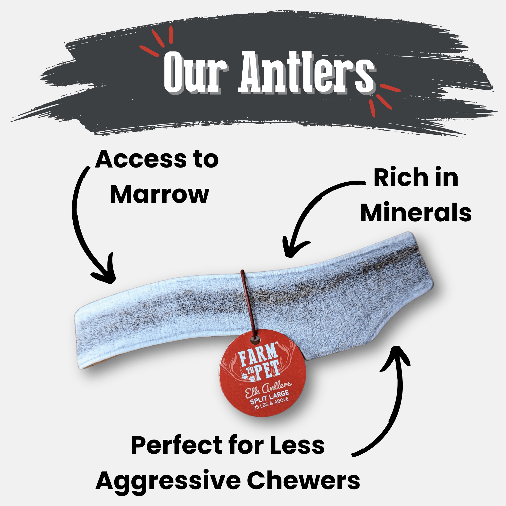 Elk Antler Dog Chews | All-Natural Whole and Split Chews for Dogs