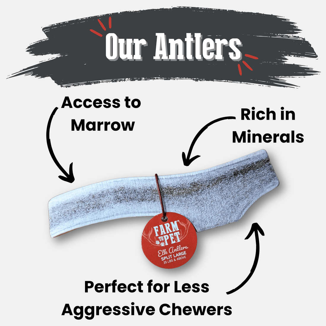Elk Antler Dog Chews | All-Natural Whole and Split Chews for Dogs