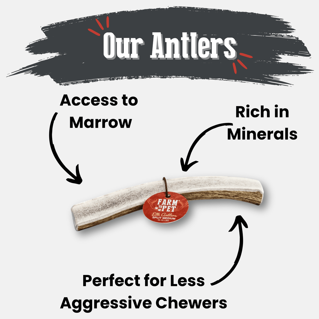Elk Antler Dog Chews | All-Natural Whole and Split Chews for Dogs