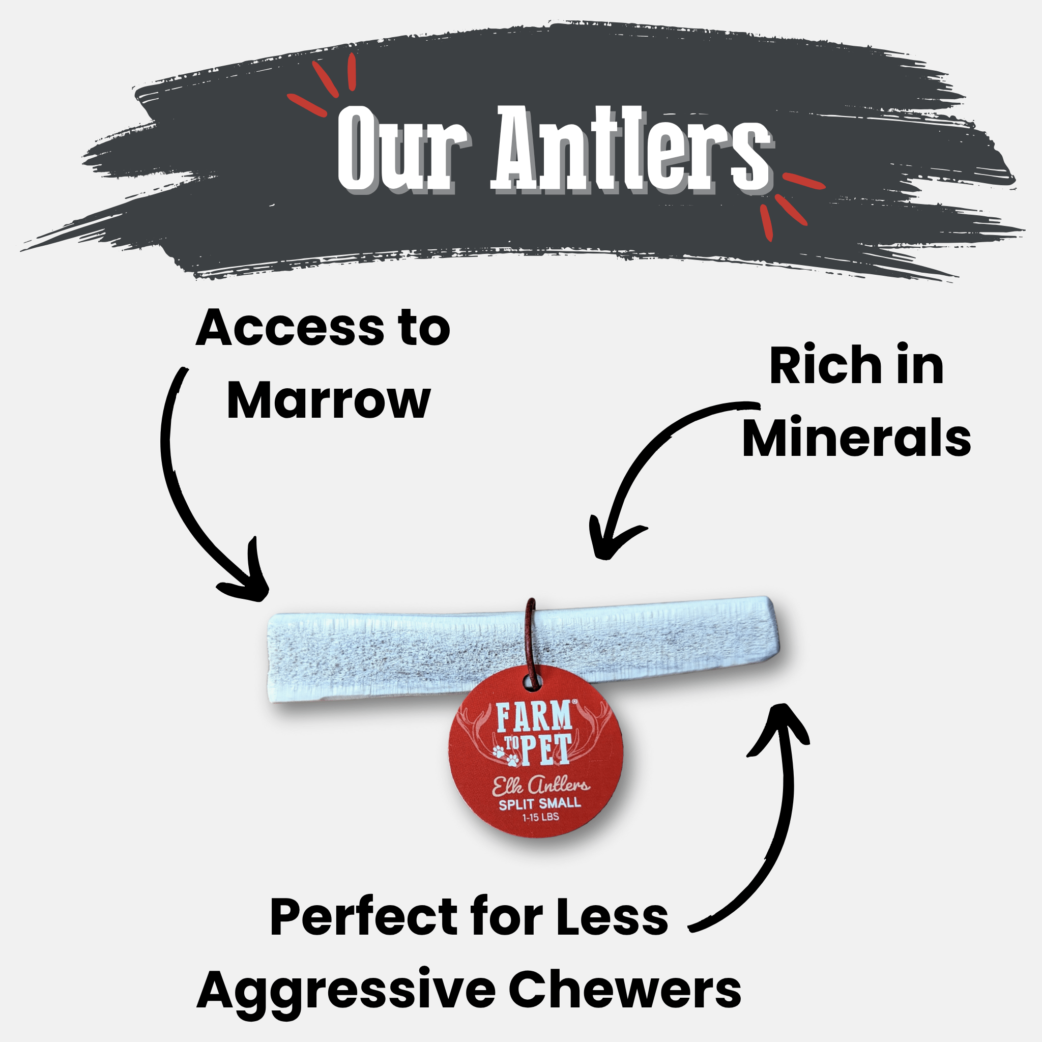 Elk Antler Dog Chews | All-Natural Whole and Split Chews for Dogs