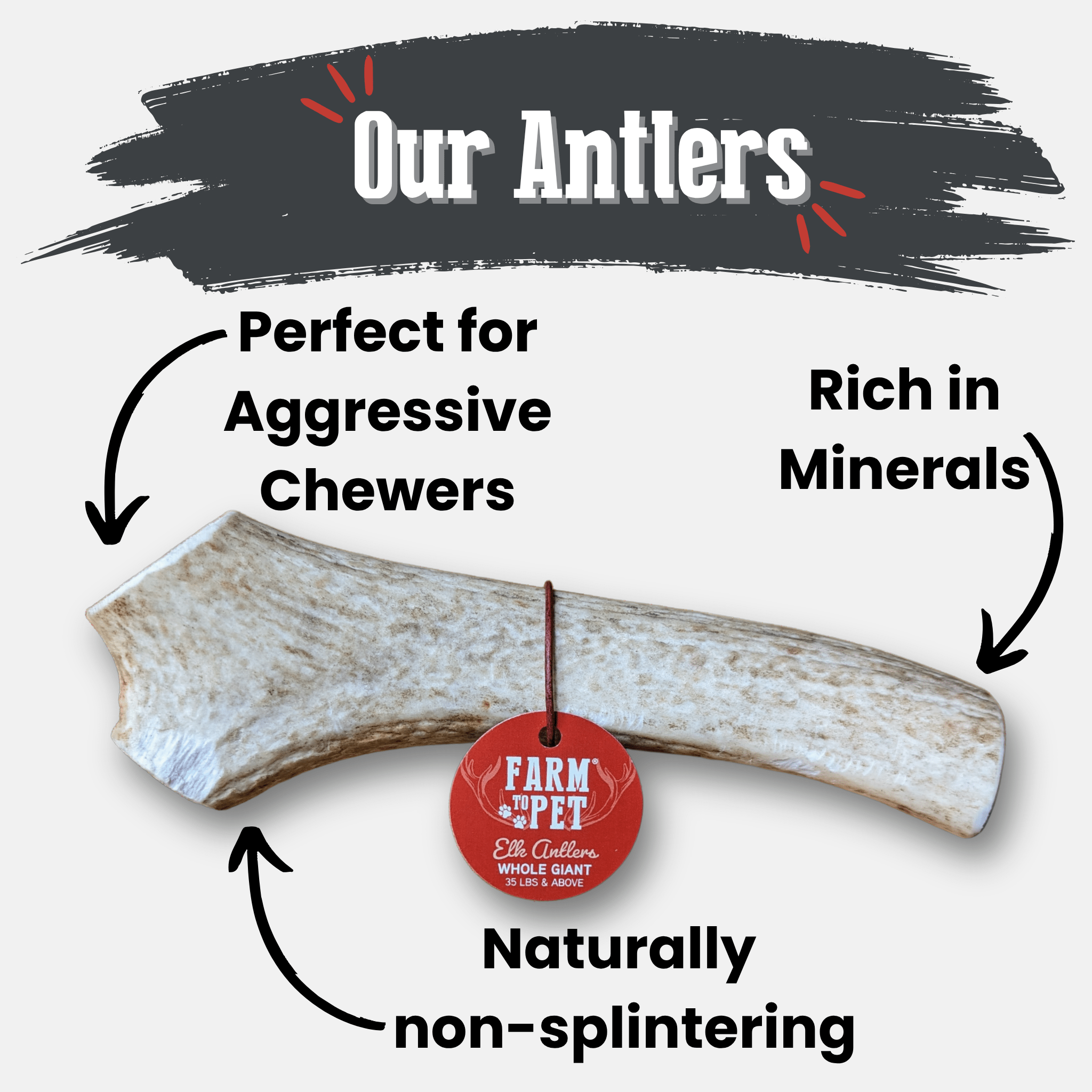 Elk Antler Dog Chews | All-Natural Whole and Split Chews for Dogs