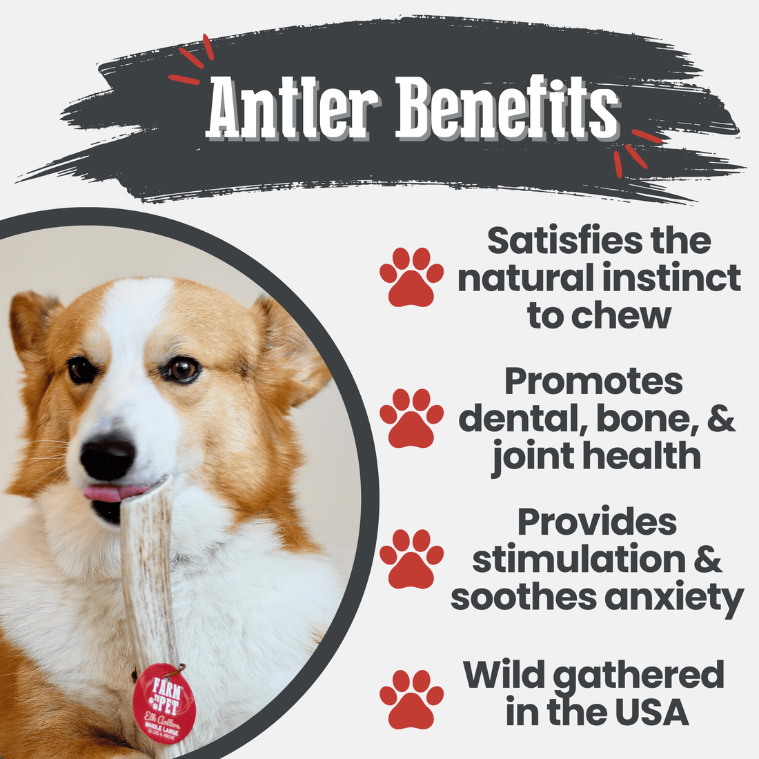 Elk Antler Dog Chews | All-Natural Whole and Split Chews for Dogs