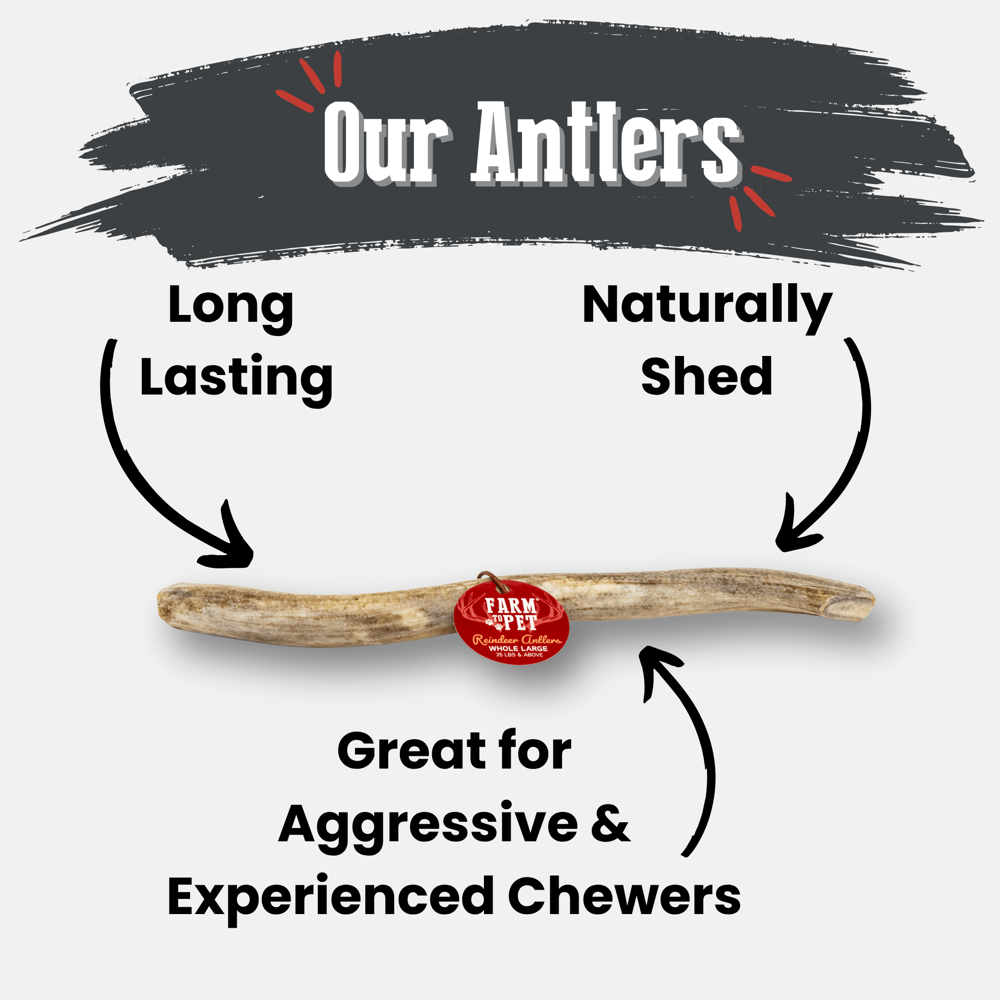 Reindeer Antler Dog Chews | Organic