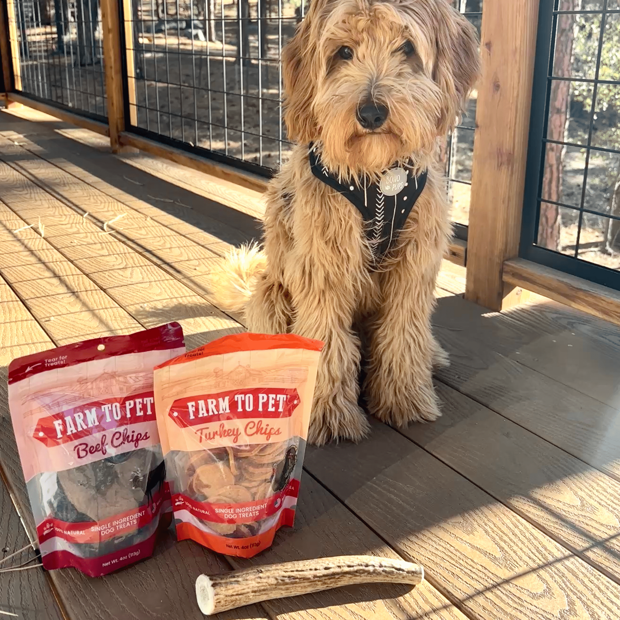 Reindeer Antler Dog Chews | Organic
