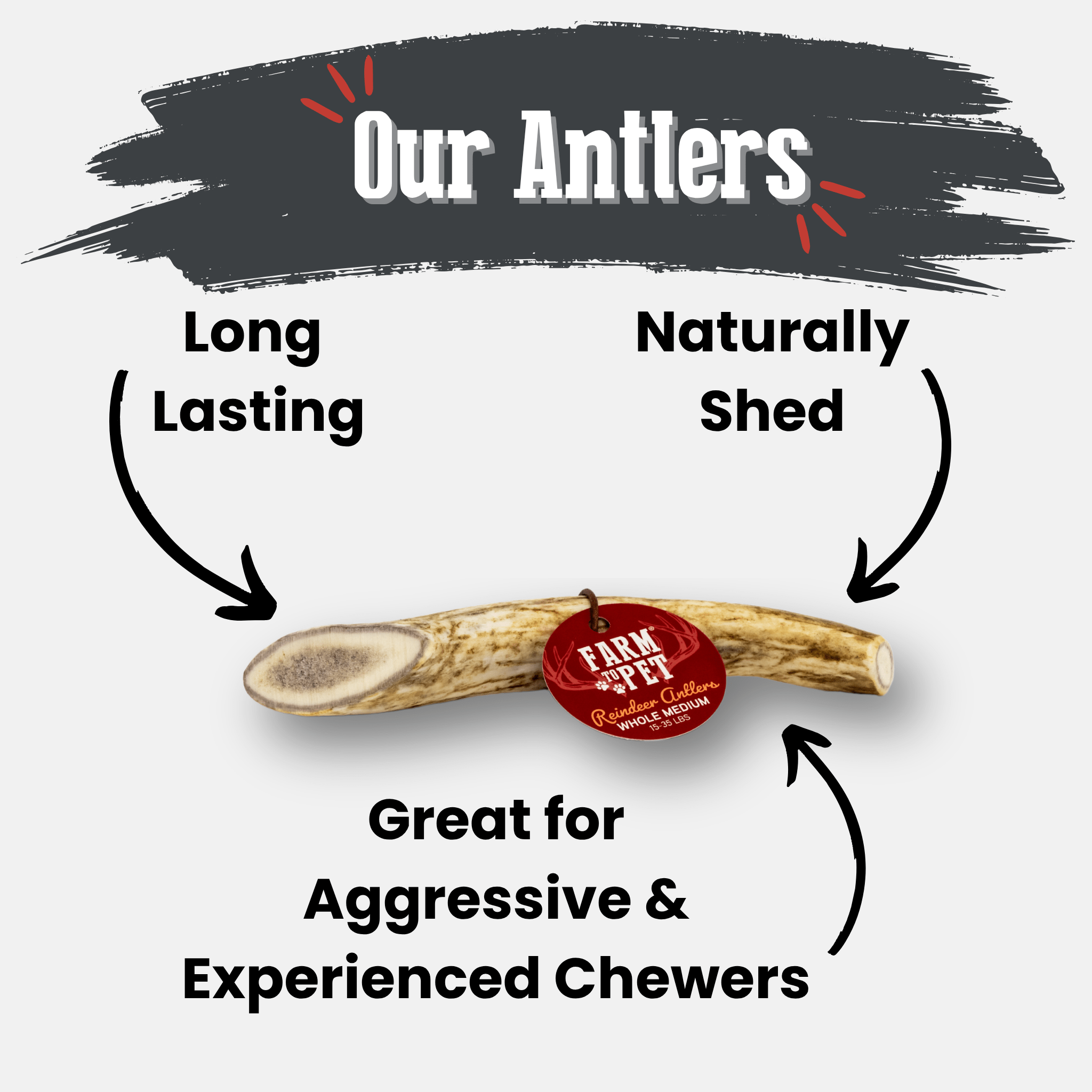 Reindeer Antler Dog Chews | Organic