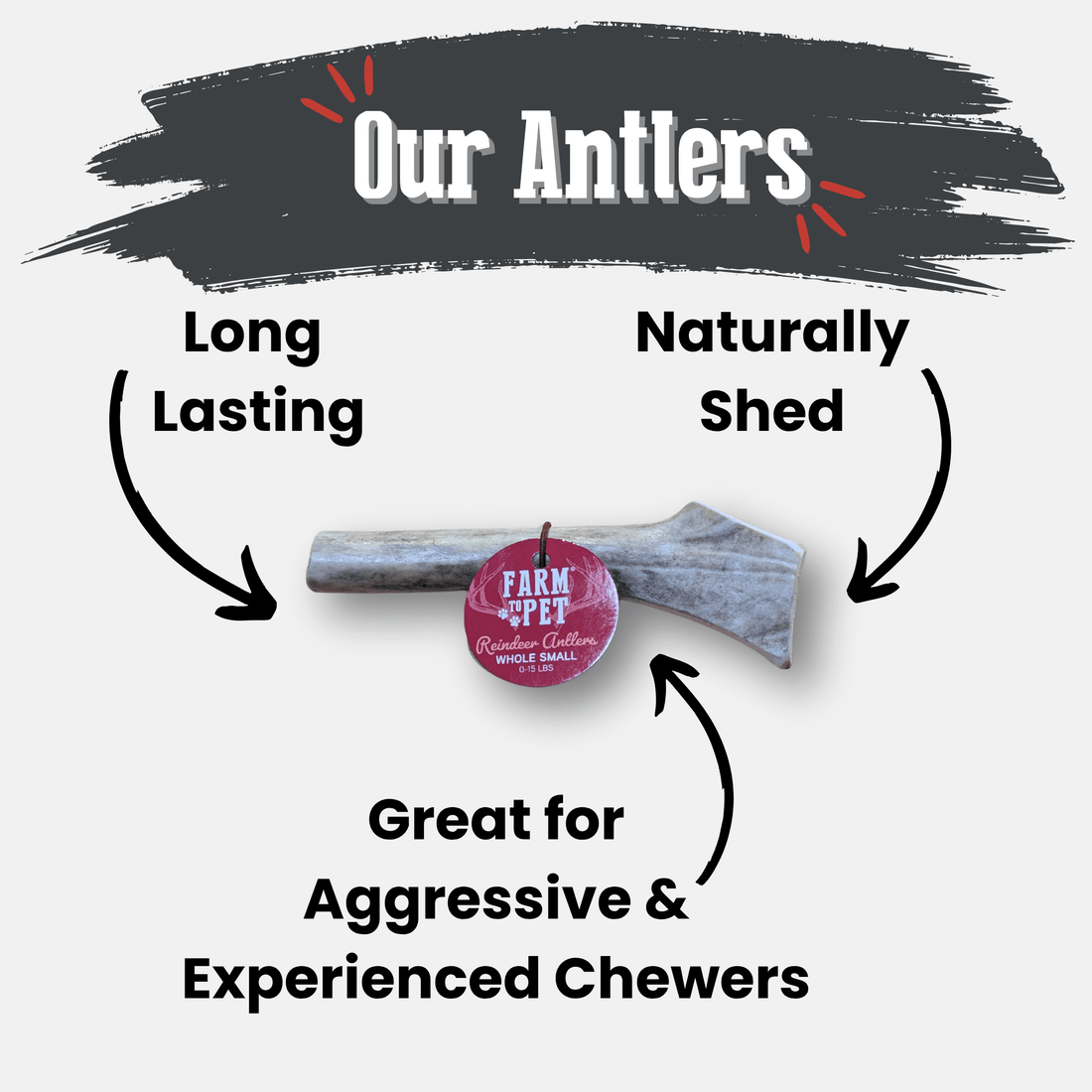 Reindeer Antler Dog Chews | Organic