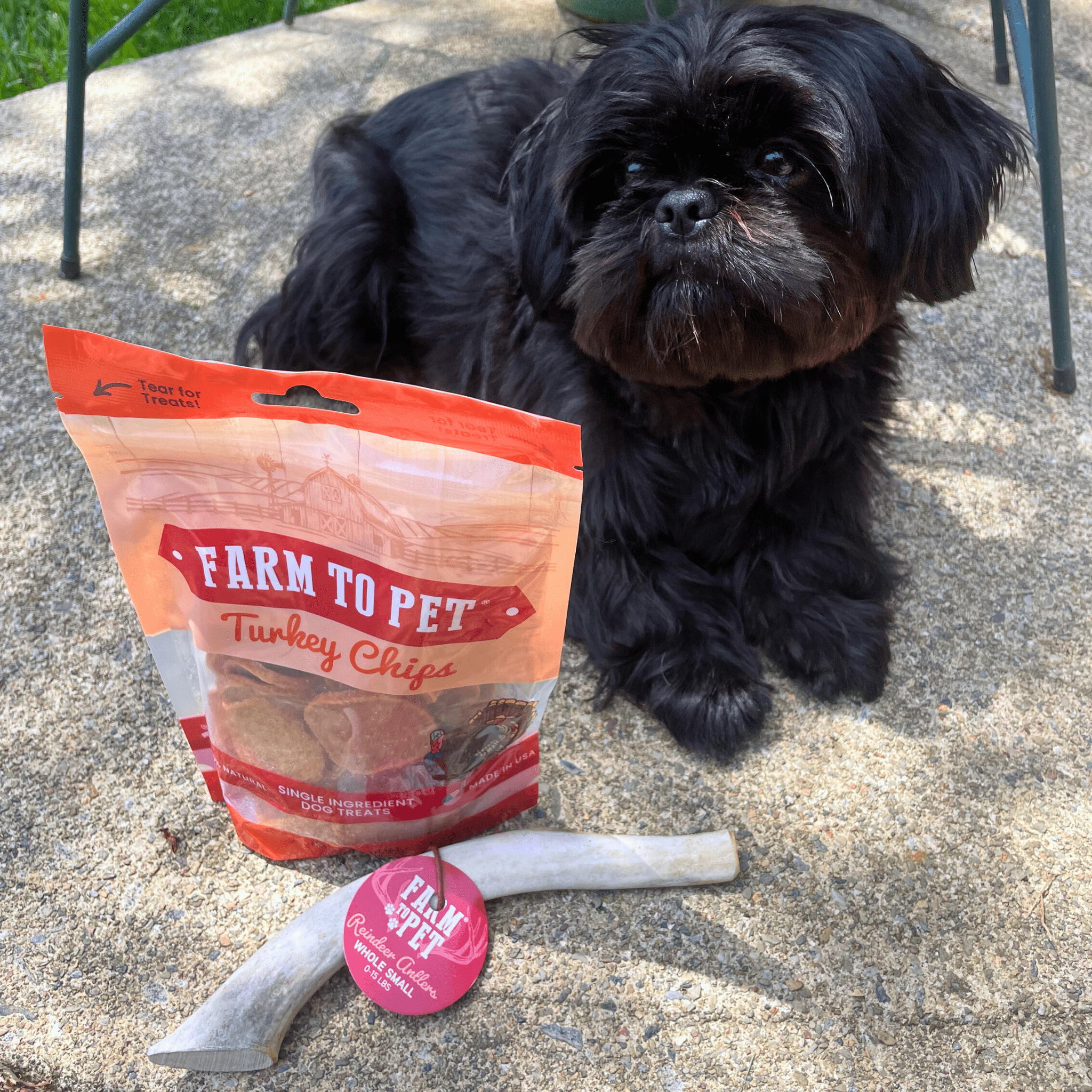 Reindeer Antler Dog Chews | Organic