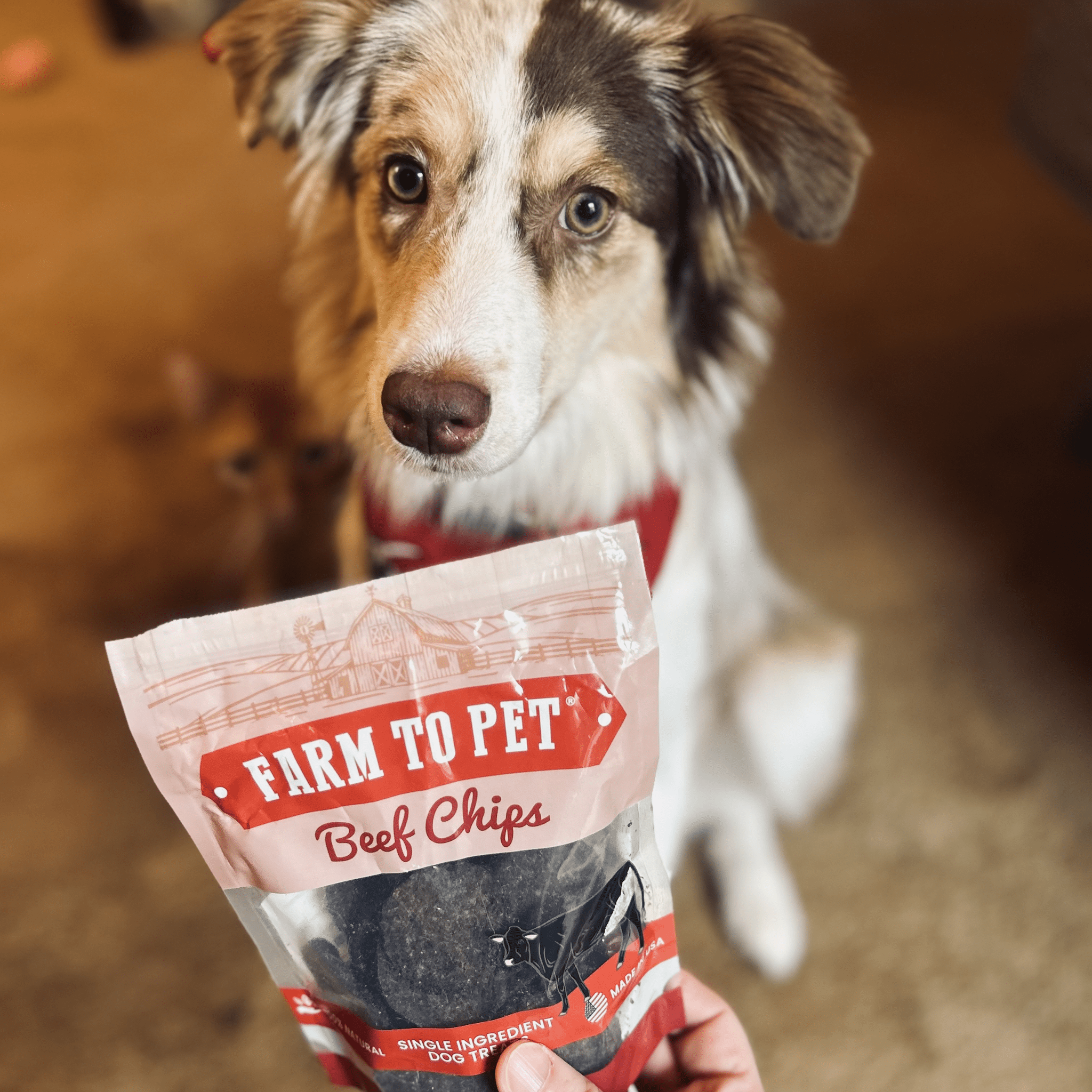 Puppy Packs 'n Snacks Dog Treat Starter Pack | Single-Ingredient