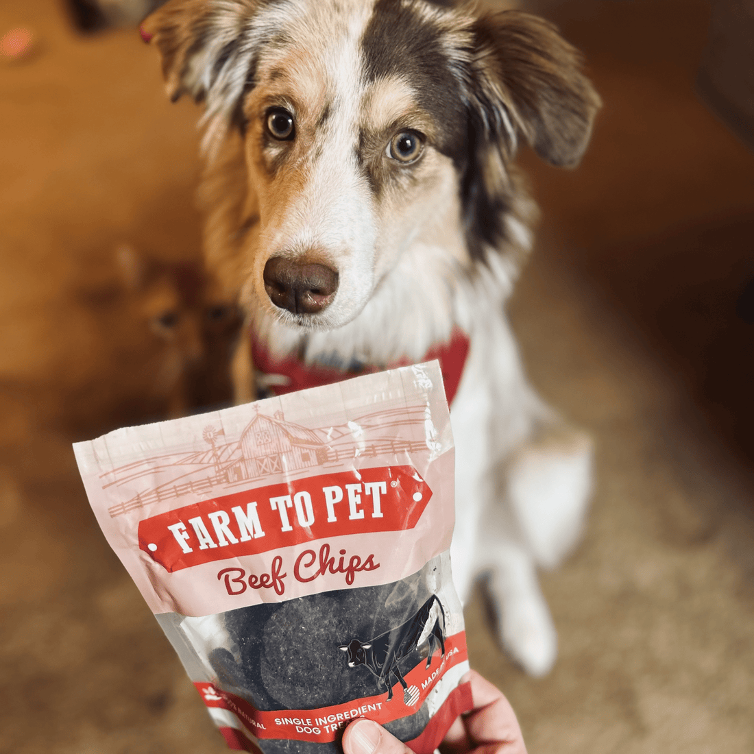 Puppy Packs 'n Snacks Dog Treat Starter Pack | Single-Ingredient