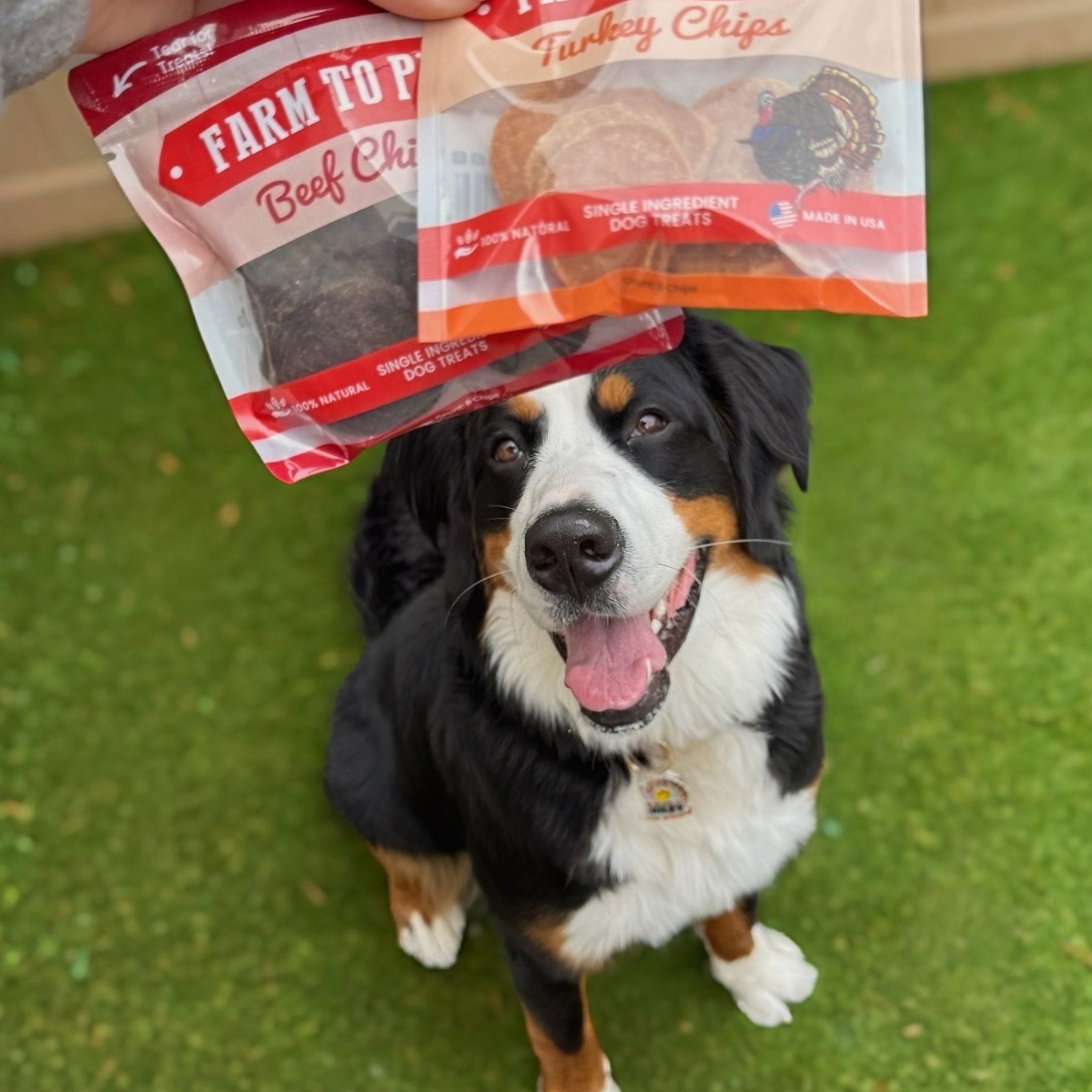 Puppy Packs 'n Snacks Dog Treat Starter Pack | Single-Ingredient