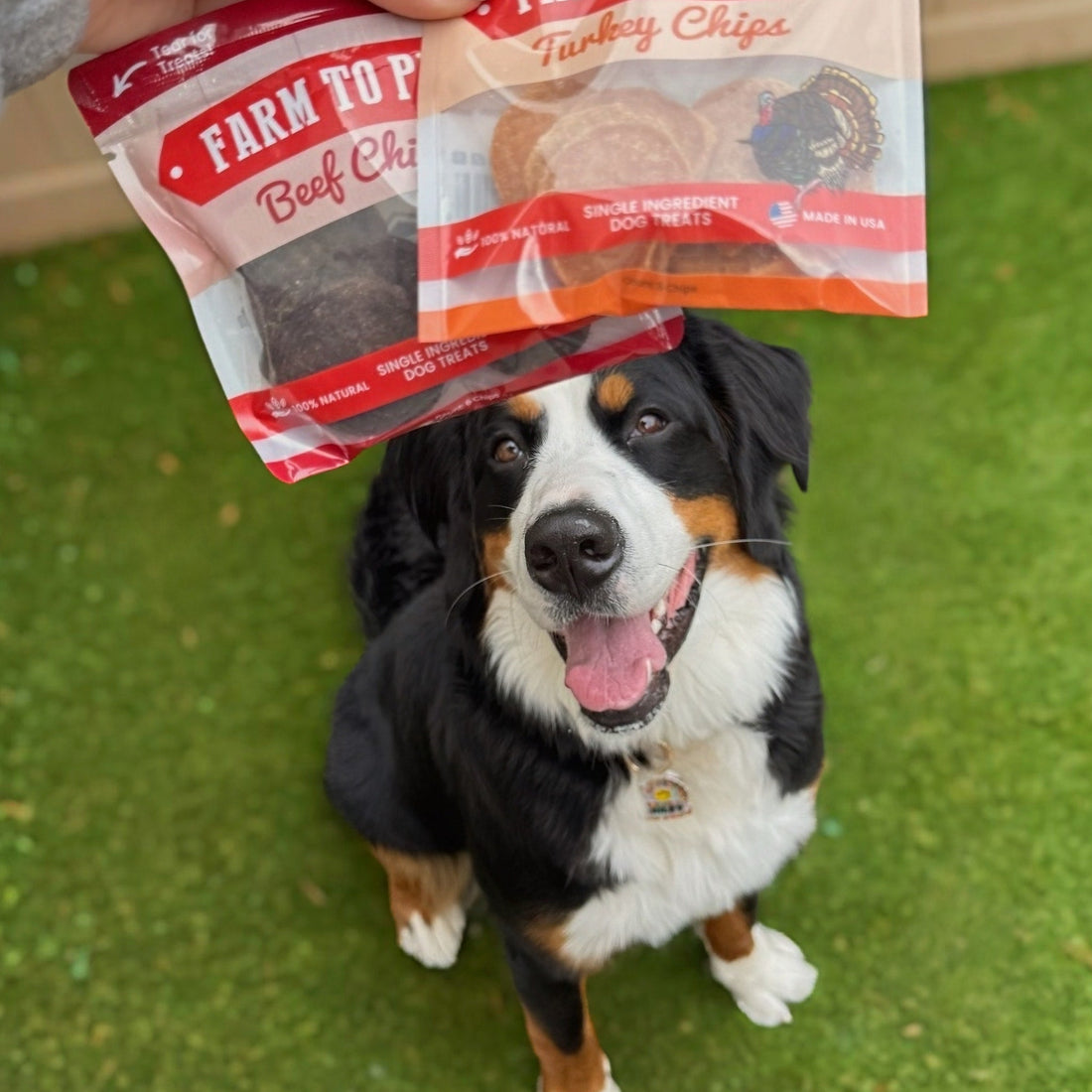 Puppy Packs 'n Snacks Dog Treat Starter Pack | Single-Ingredient