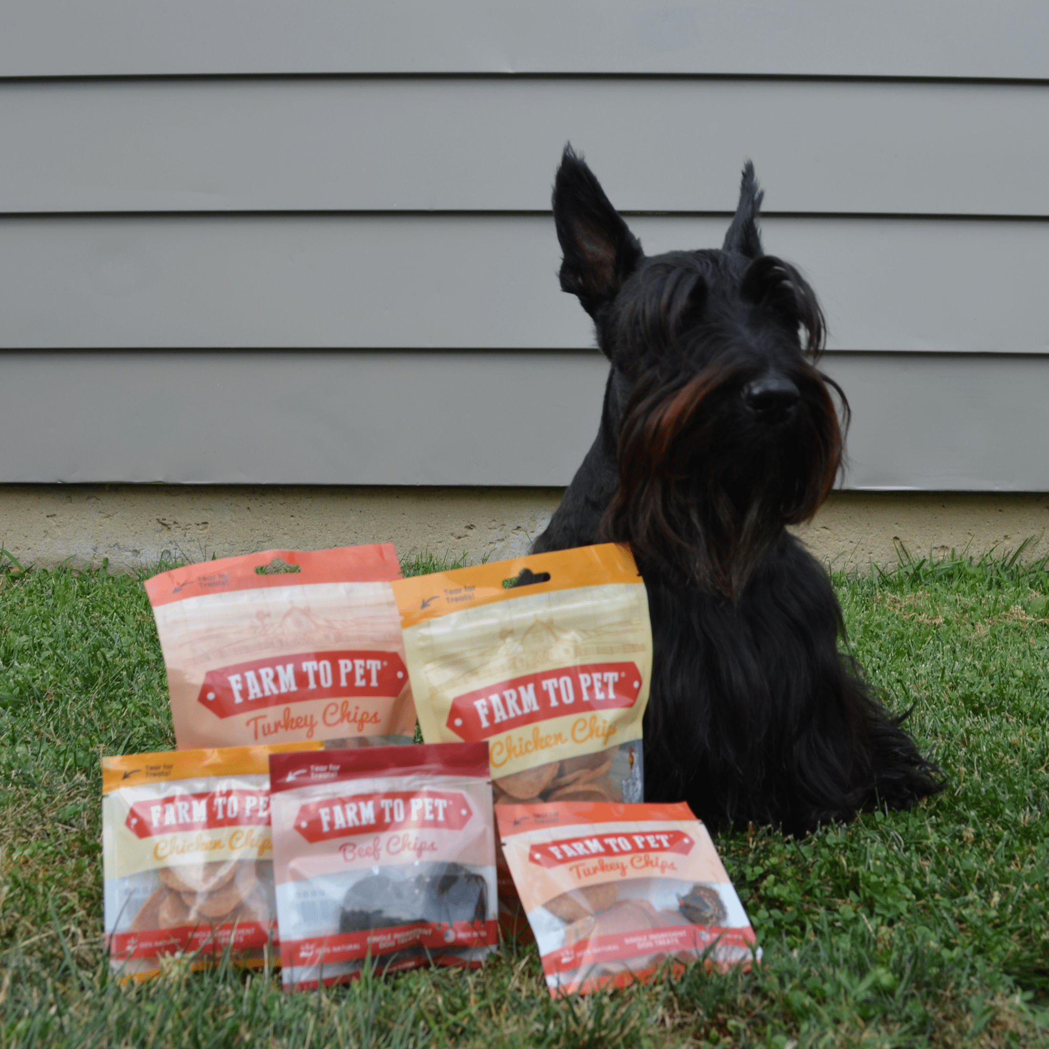 Puppy Packs 'n Snacks Dog Treat Starter Pack | Single-Ingredient