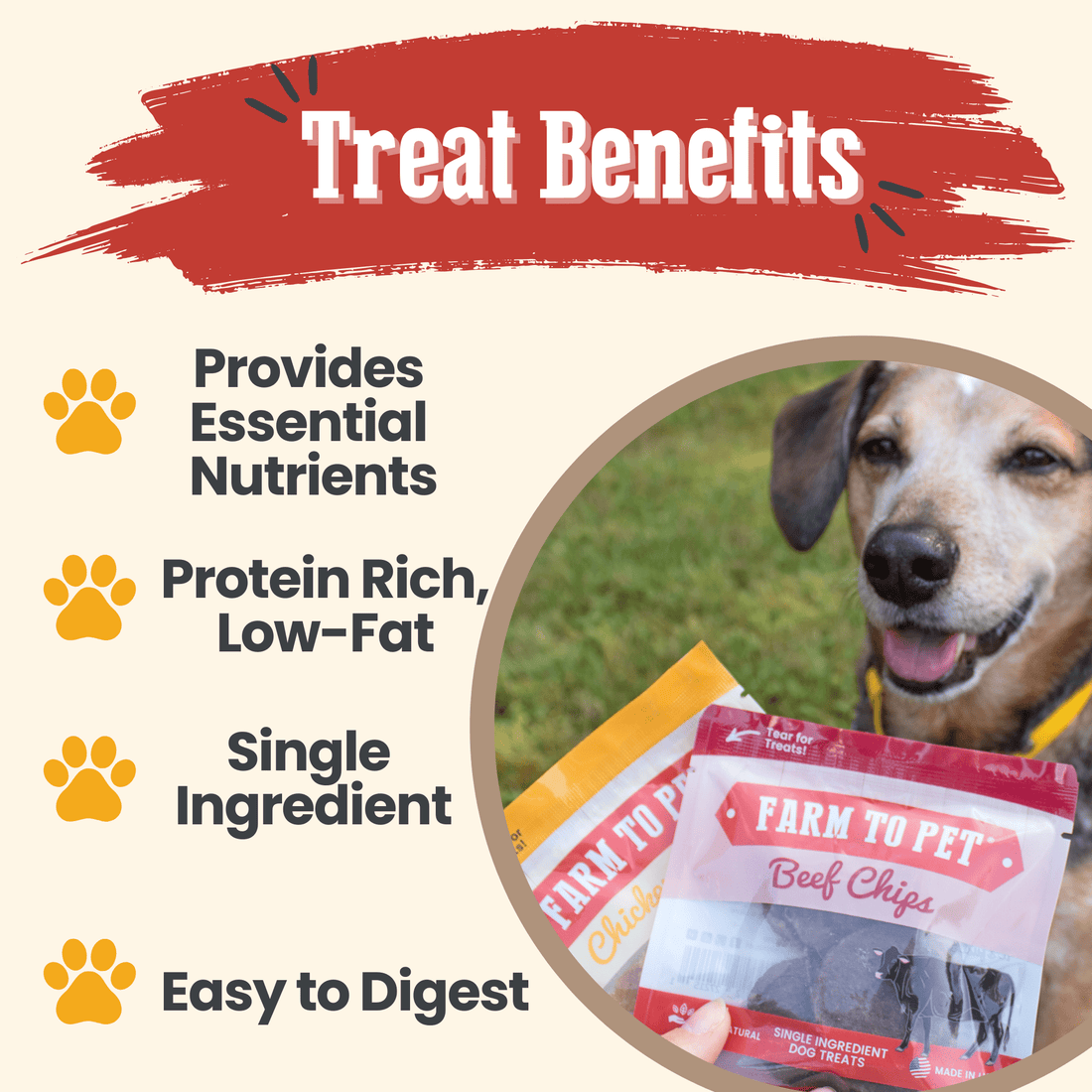 Puppy Packs 'n Snacks Dog Treat Starter Pack | Single-Ingredient